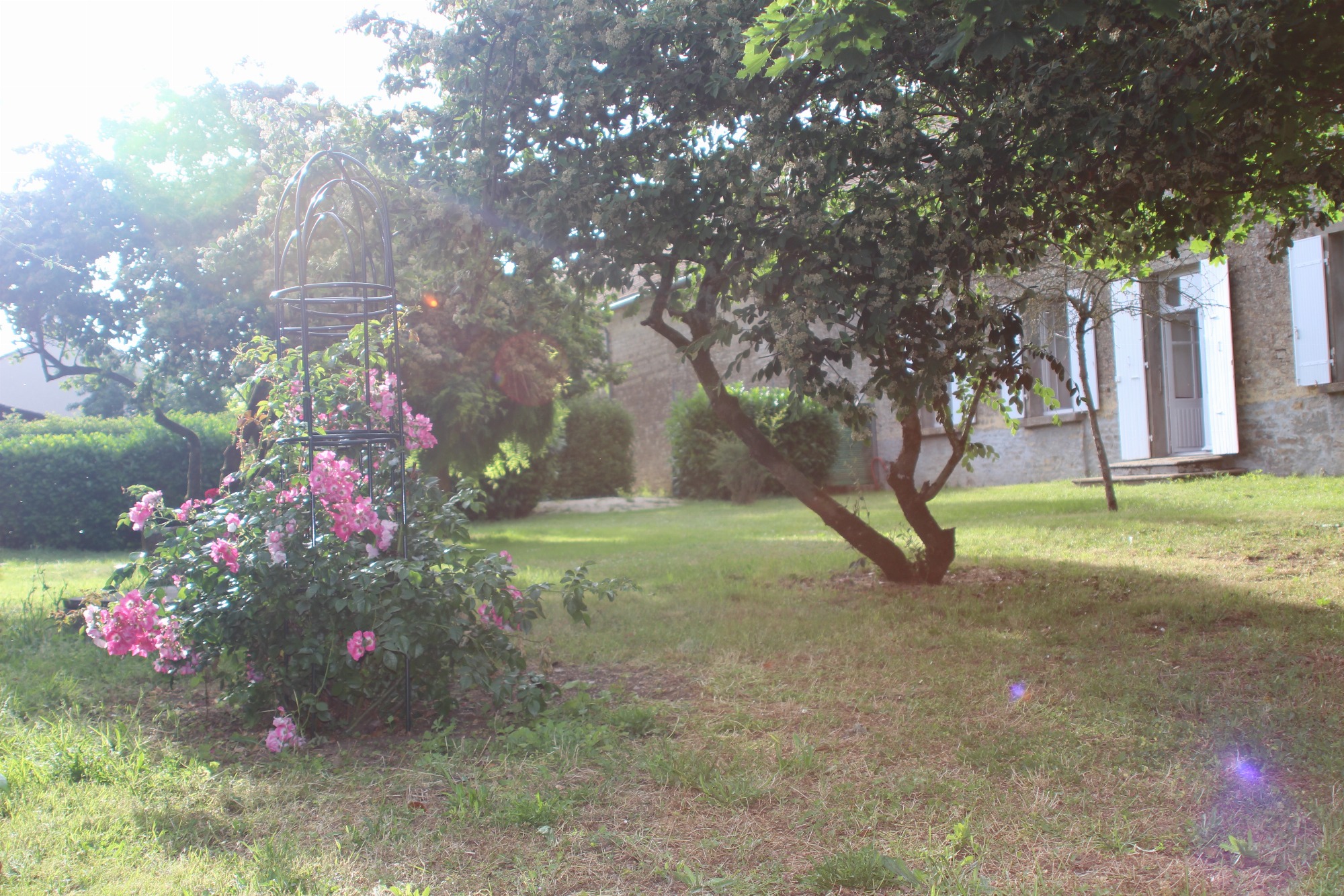 Le jardin privatif