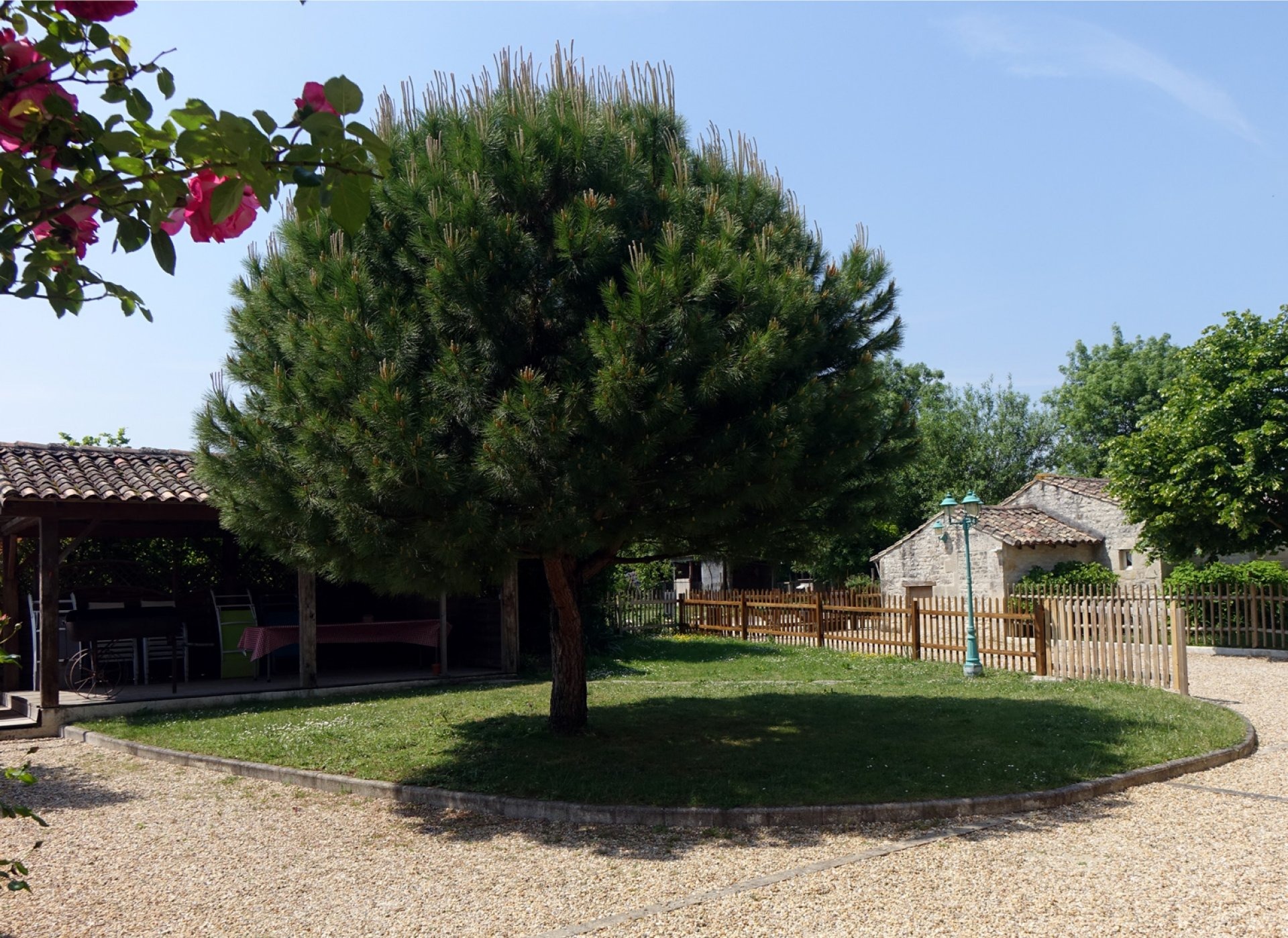 Jardin et préau