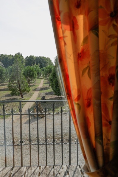 Vue sur le parc