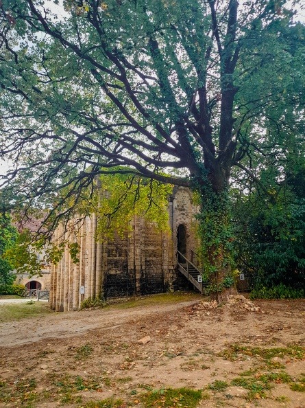 Tour du Trésor