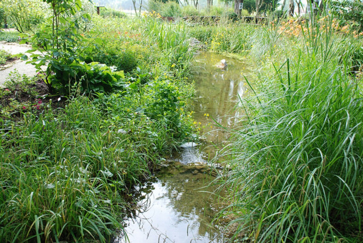 Cours d'eau