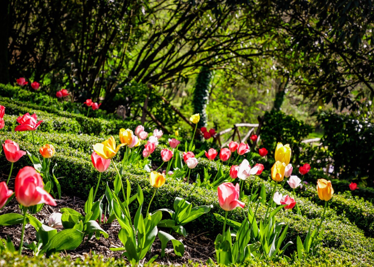 Jardin de l'Argentor