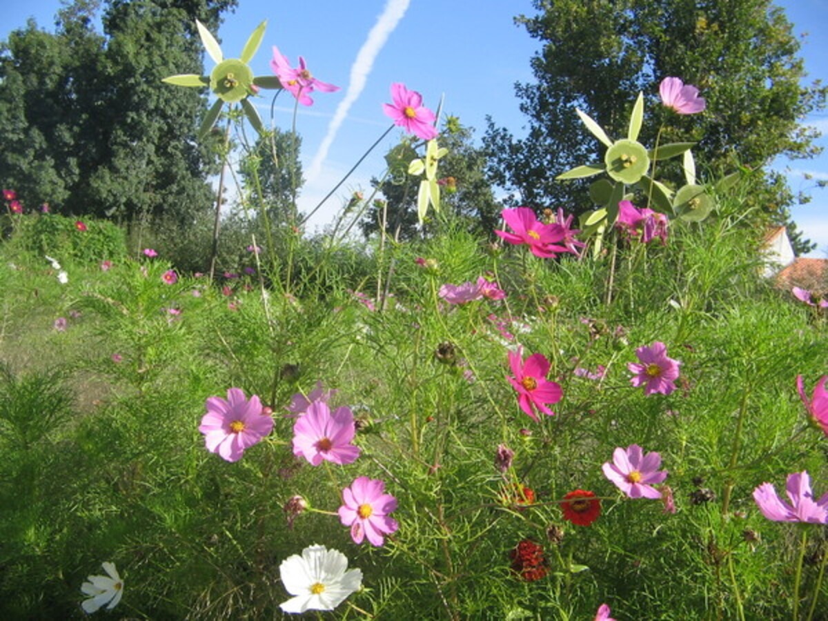Jardins éphémères
