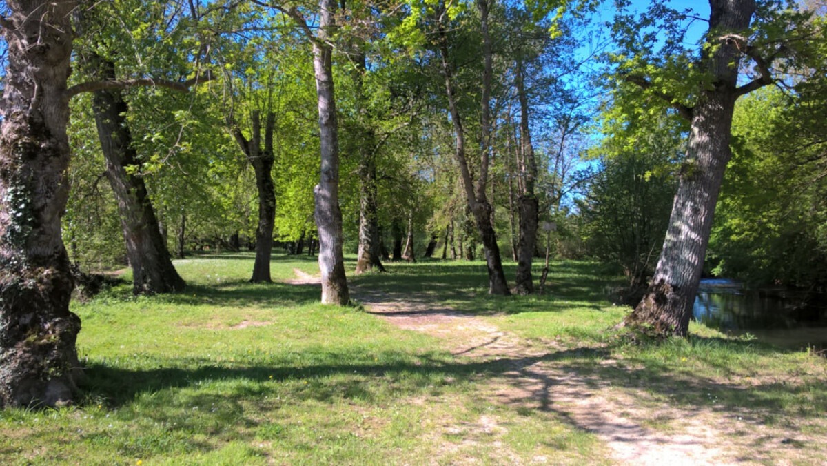 Plage du Portal