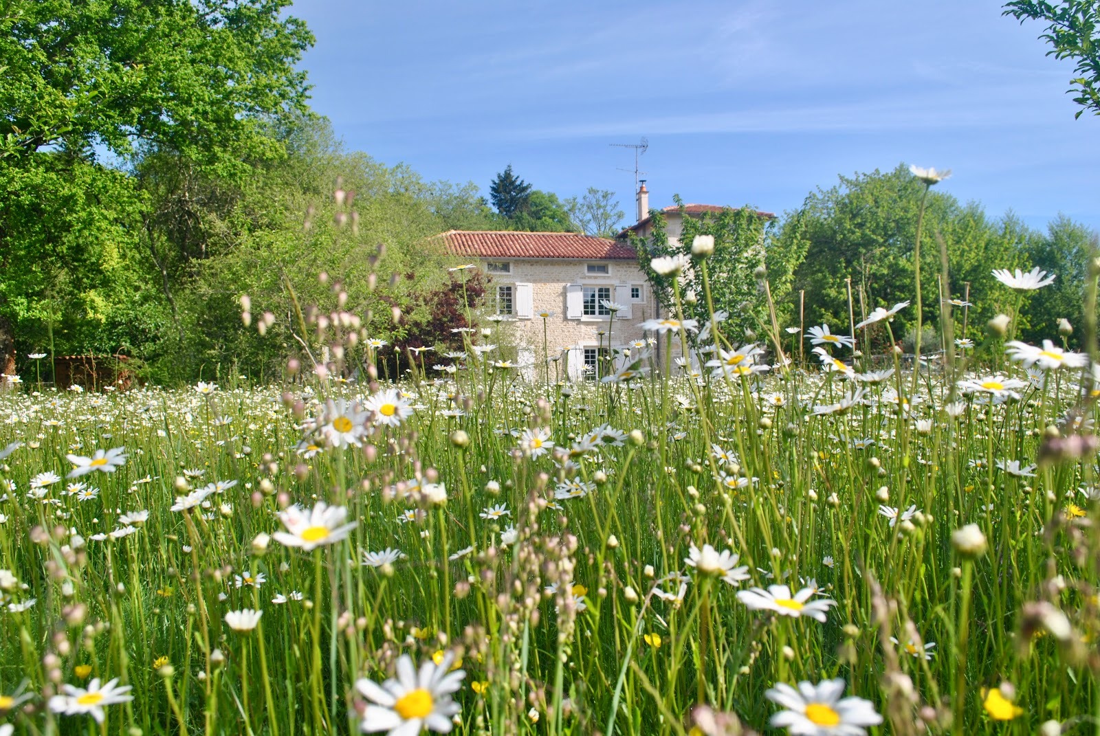 Au printemps