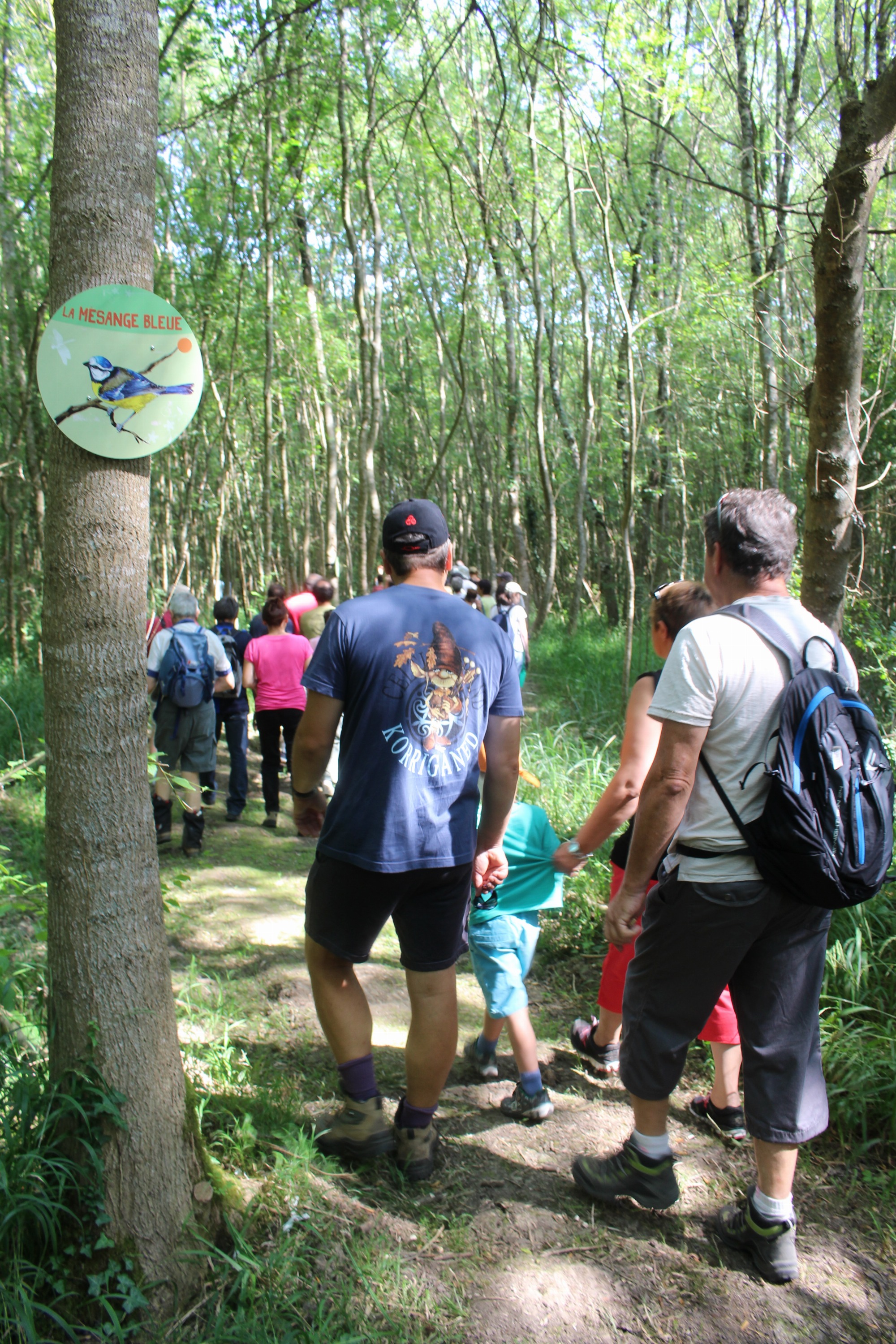 Sentier d'interprétation