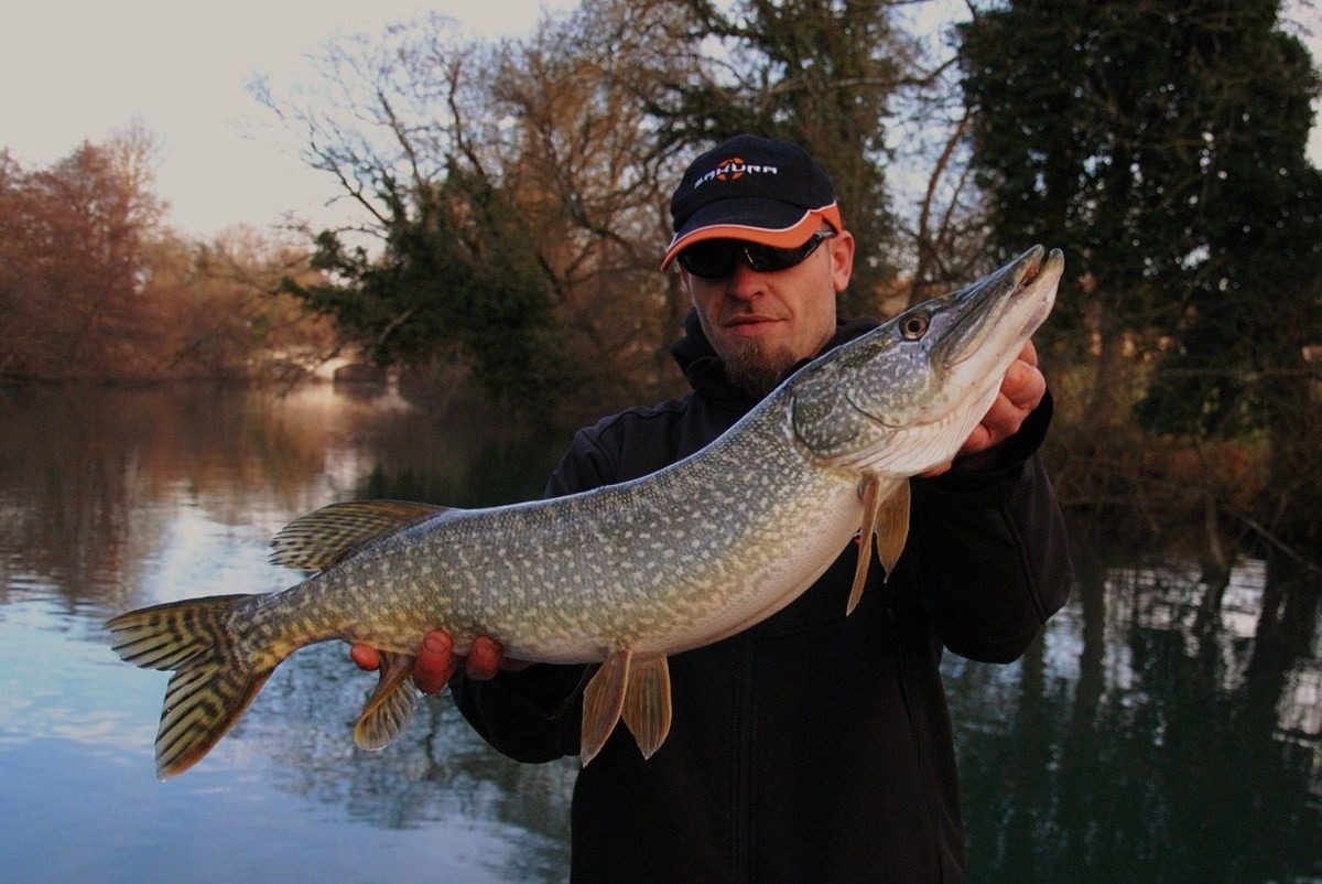 Pêche dans la Charente
