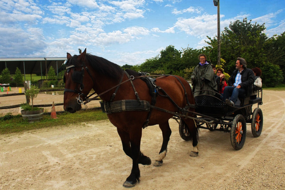 Balade en attelage