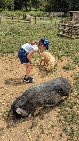 La Ferme d'Yvonne_Cellettes