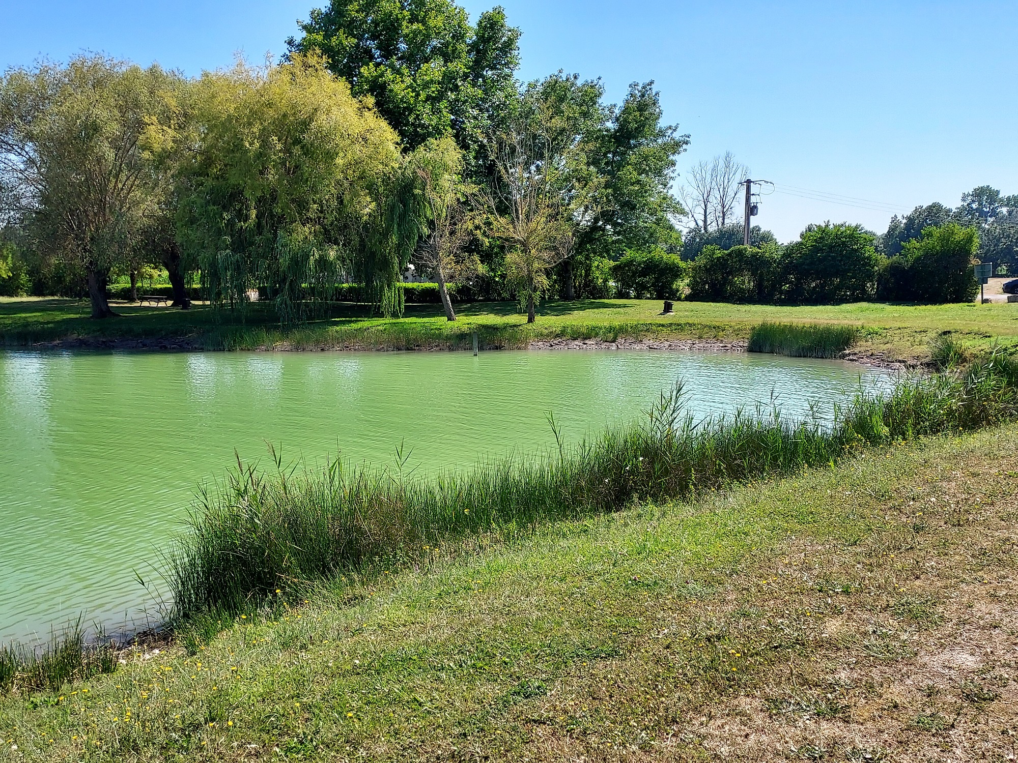 Etang des Gours