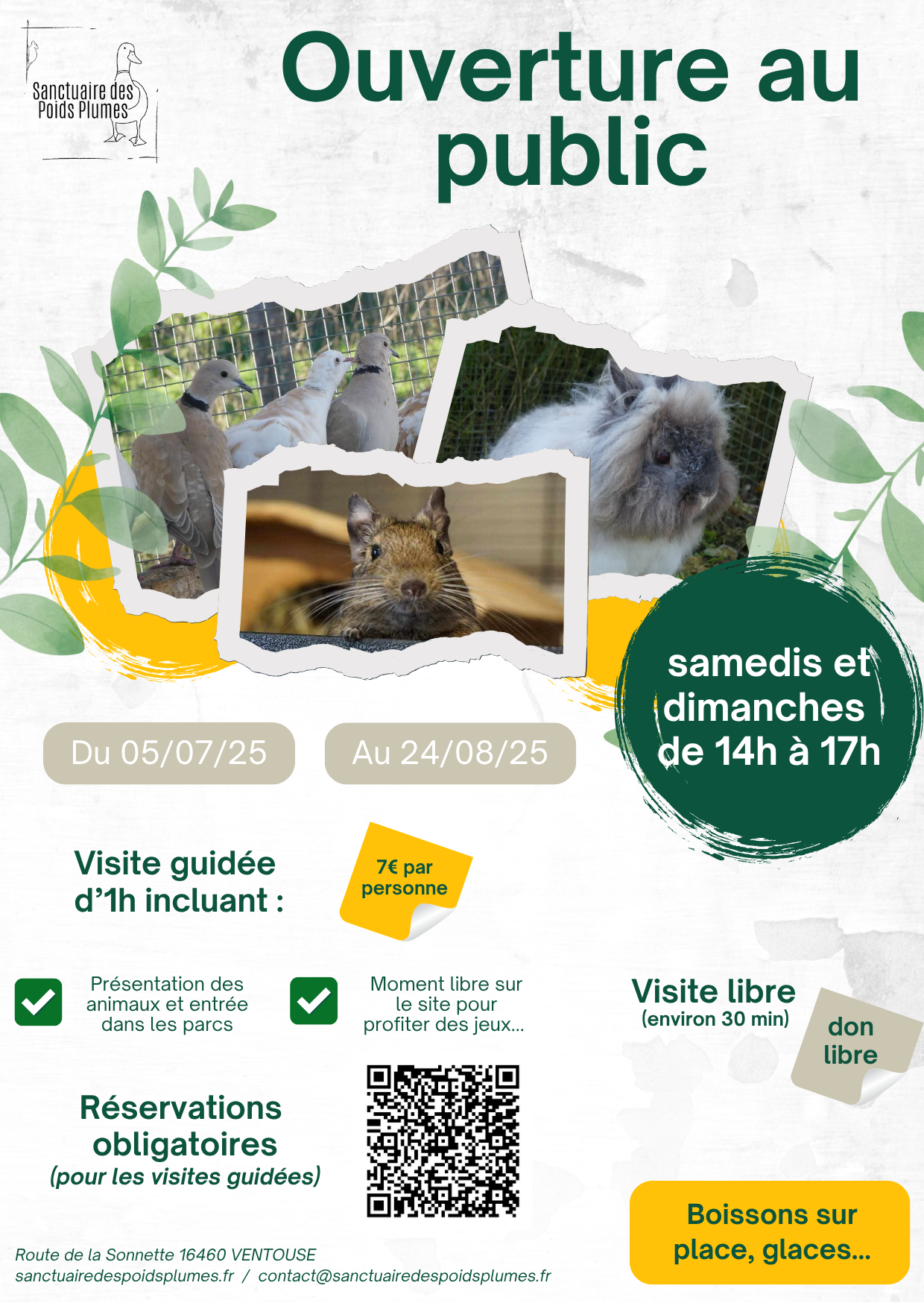 Le sanctuaire des poids plumes_Ventouse