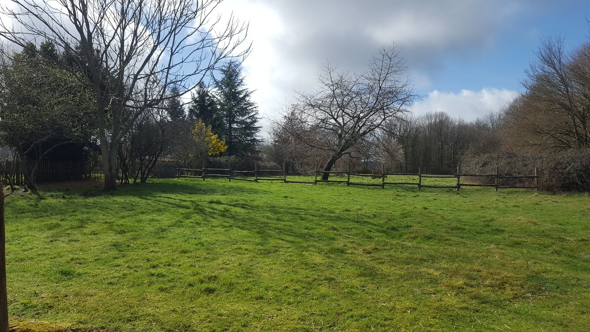 Jardin