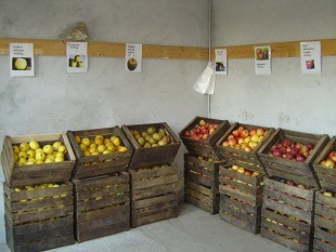 Le magasin