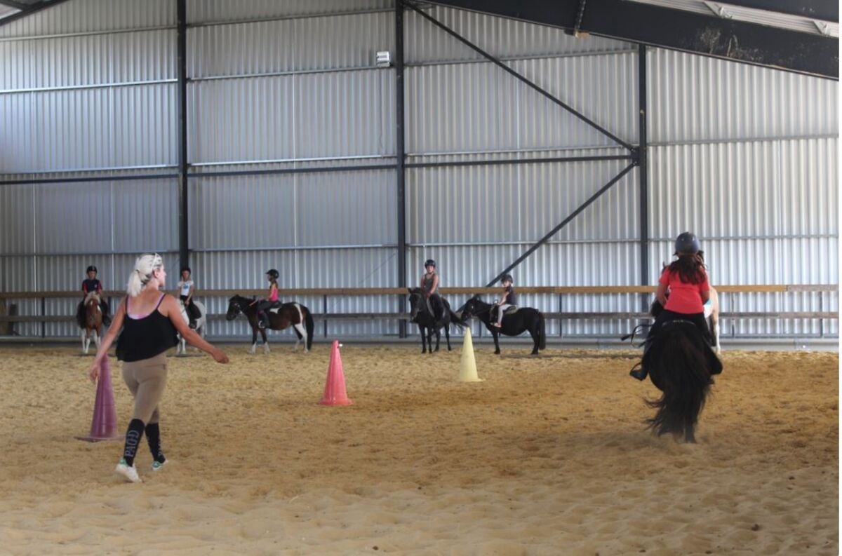 Cours de poney