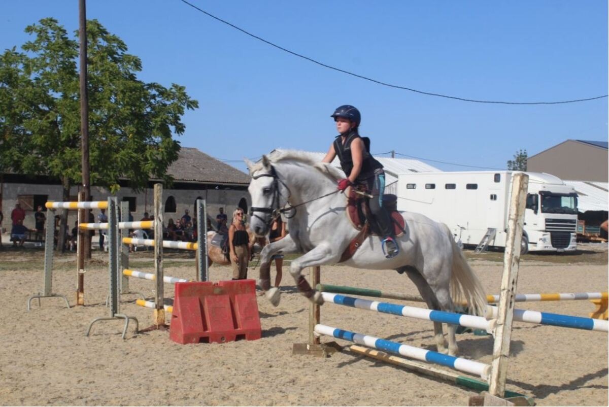 Cours de poney