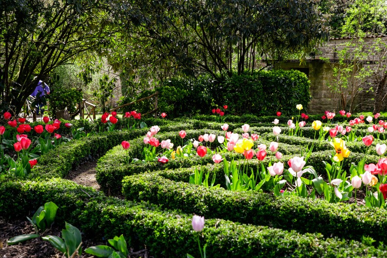 Les jardins de l'Argentor