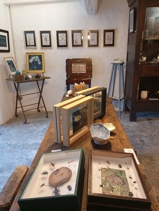 Salle d'expo