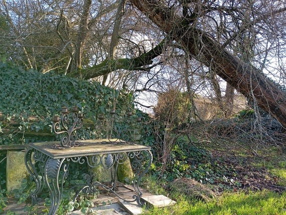 Jardin