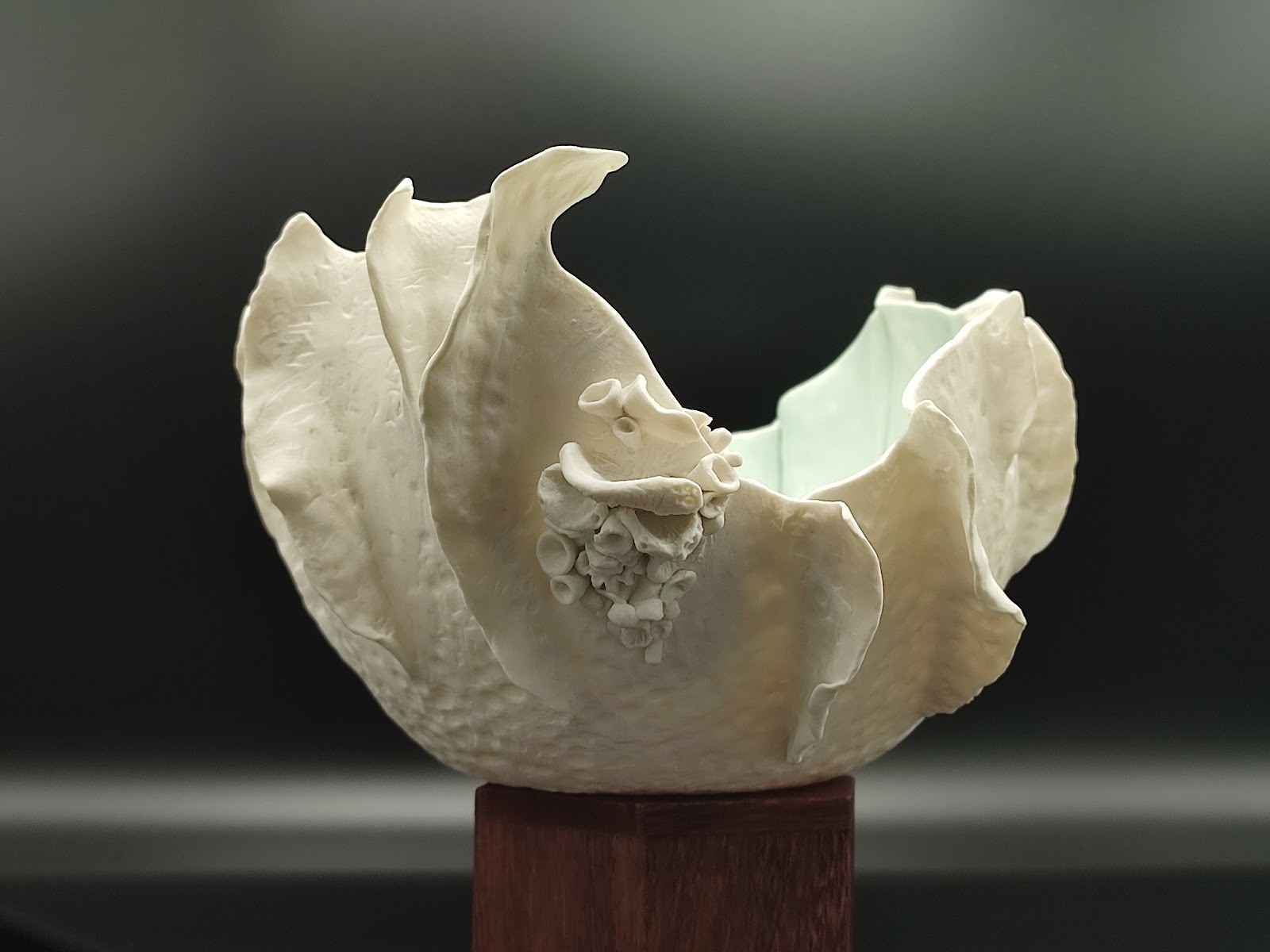 Jardin de Corail en porcelaine papier