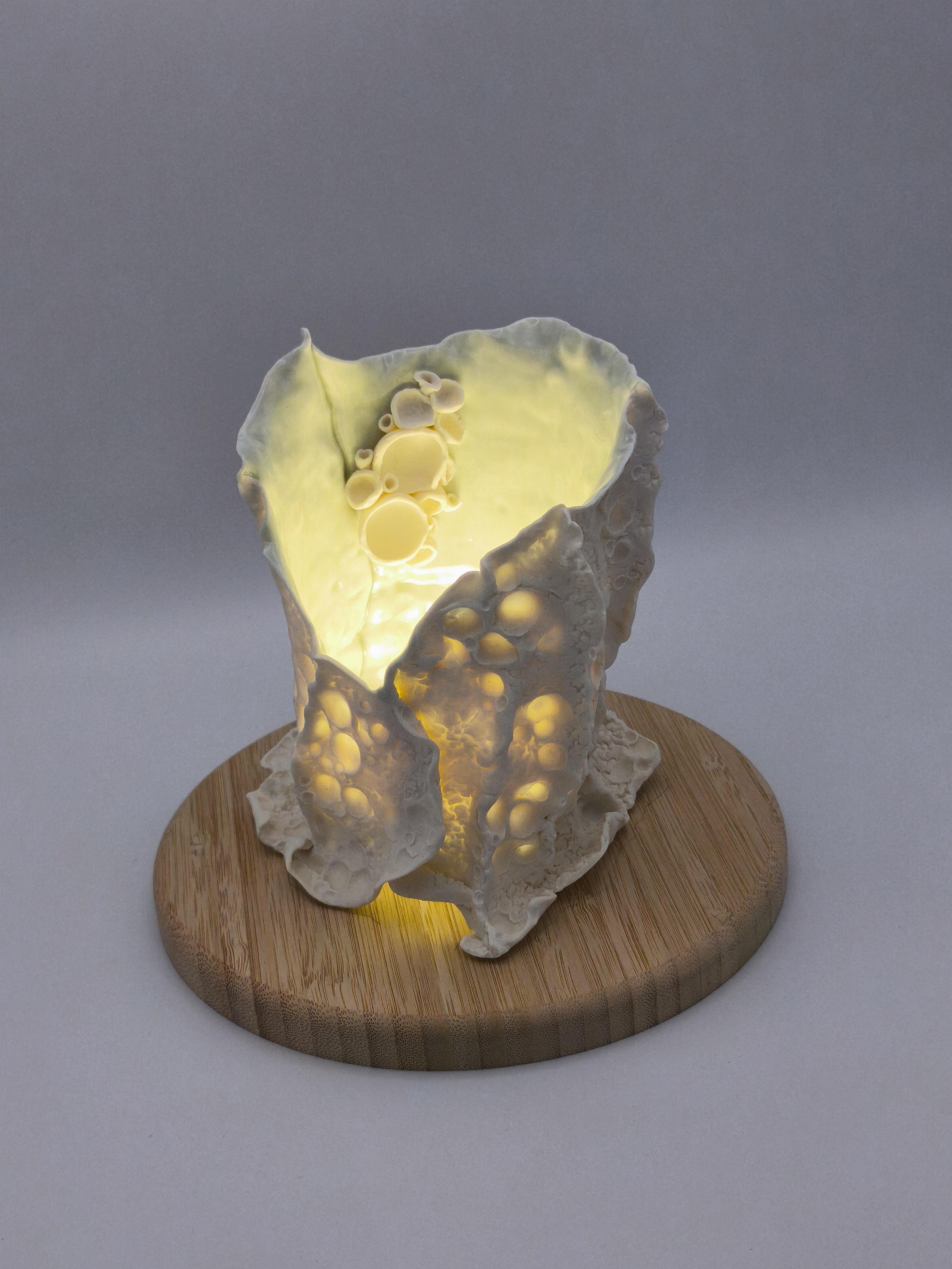 Lampe en porcelaine papier