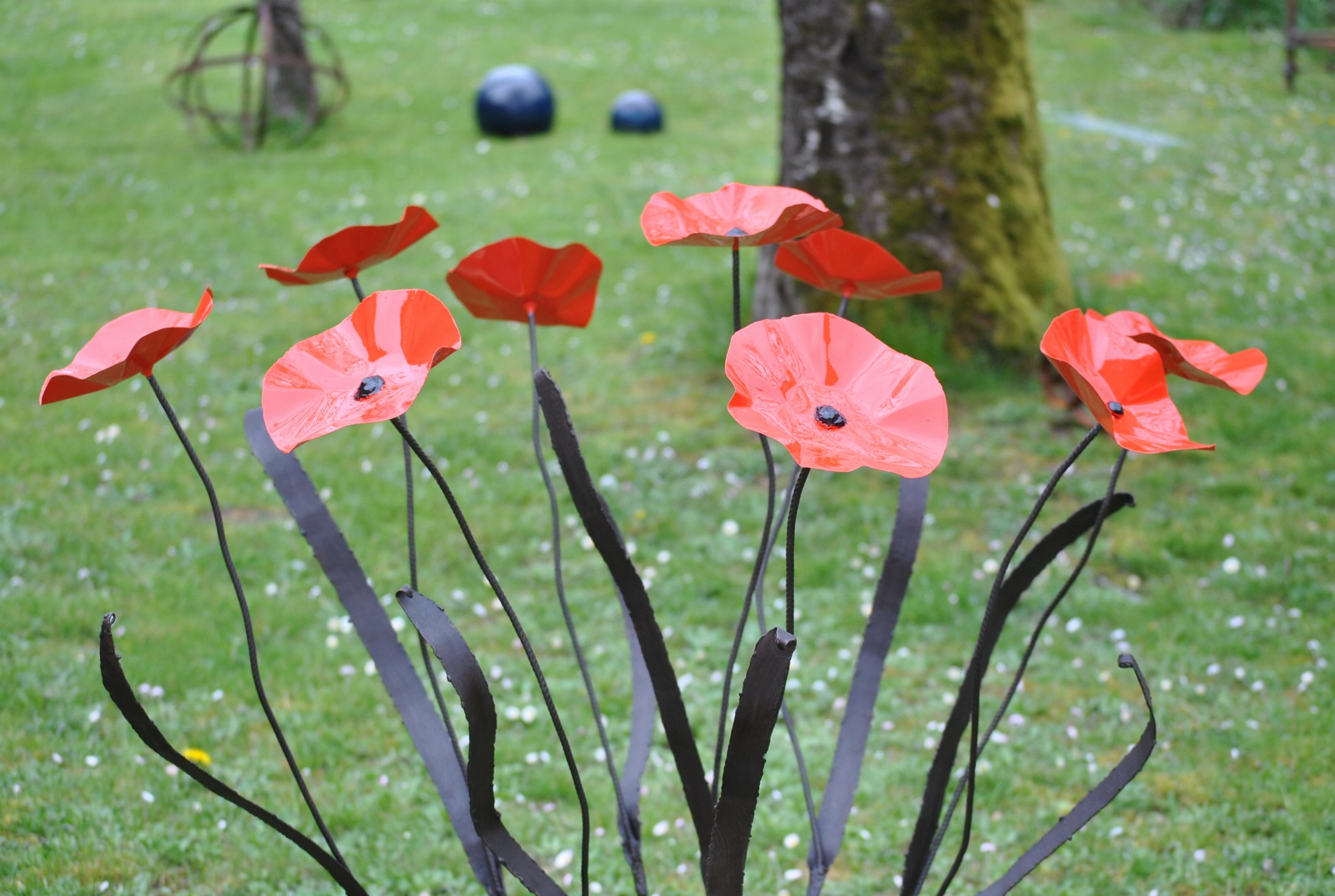 Grands coquelicots