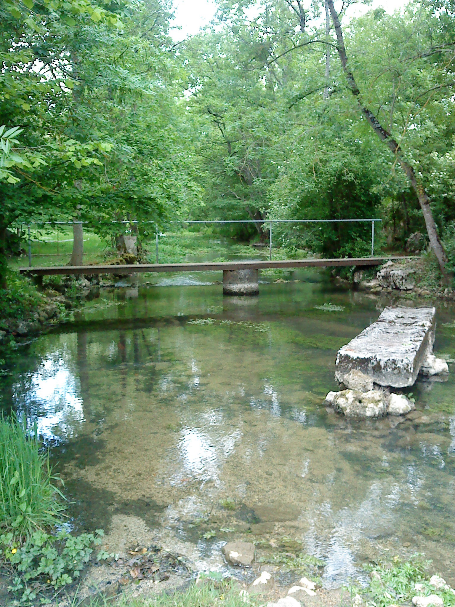 Passage à gué - Mouton