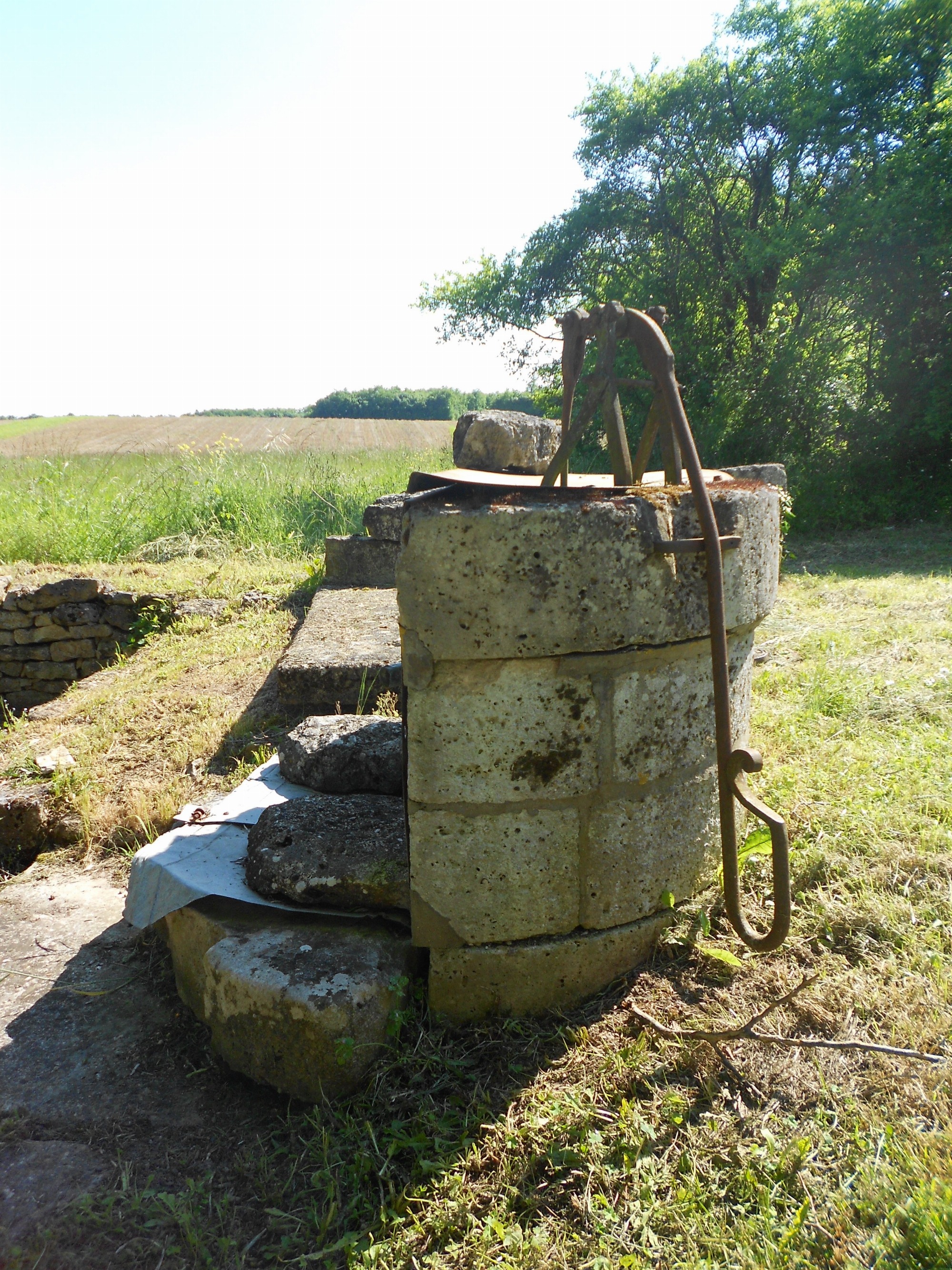 Fontaine basse sangle