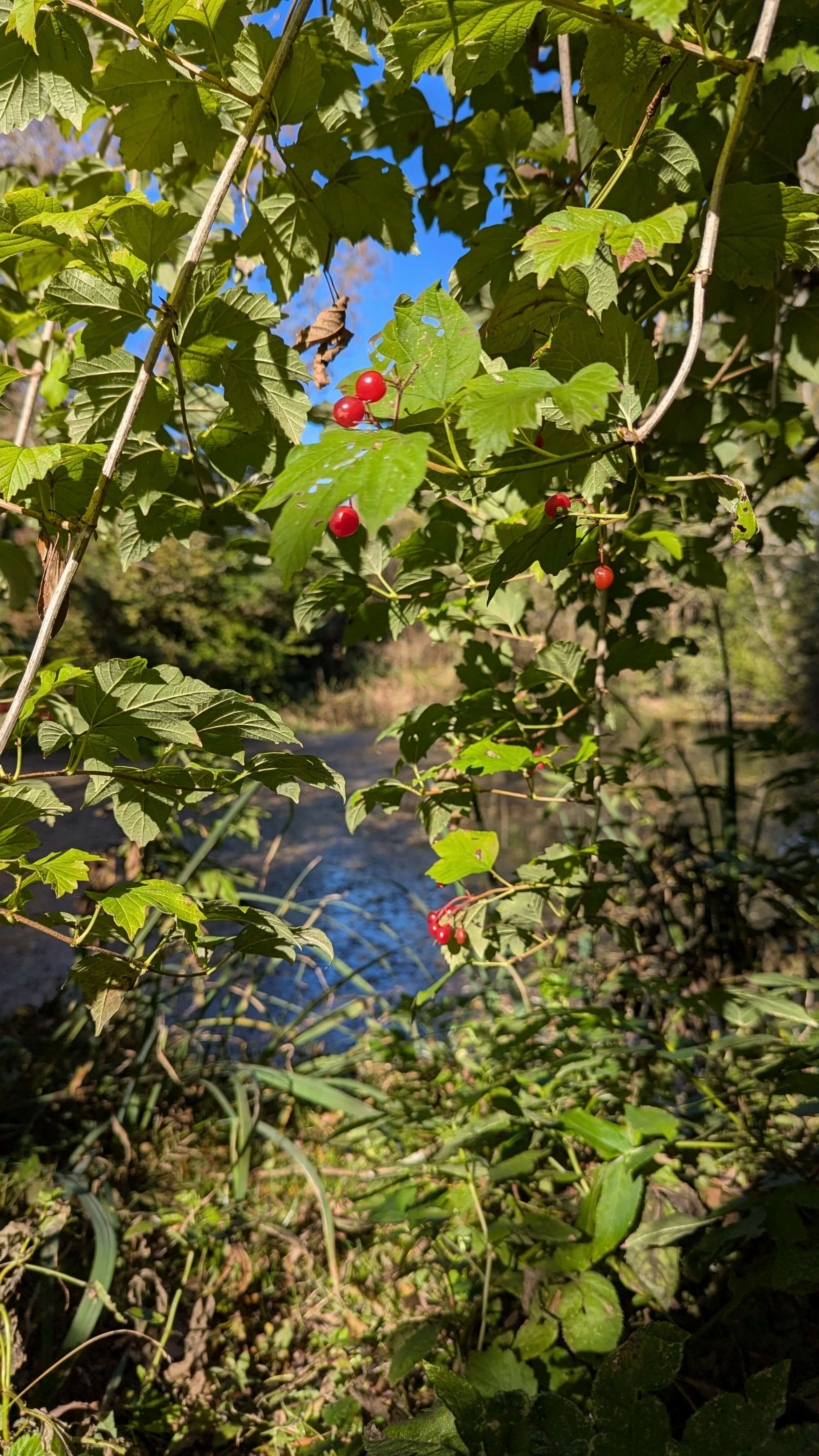 Sentier des gouffres