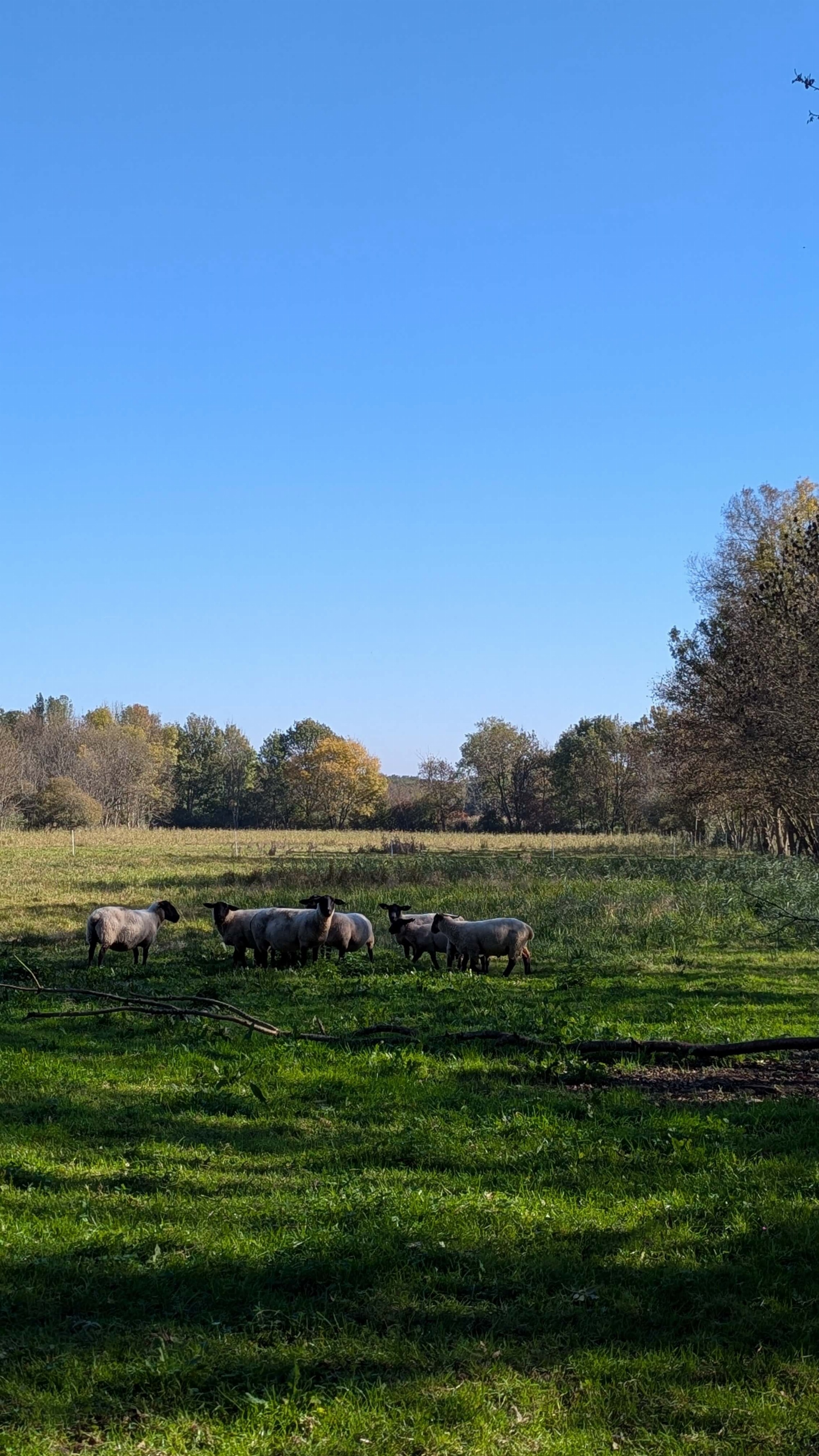 Sentier des gouffres