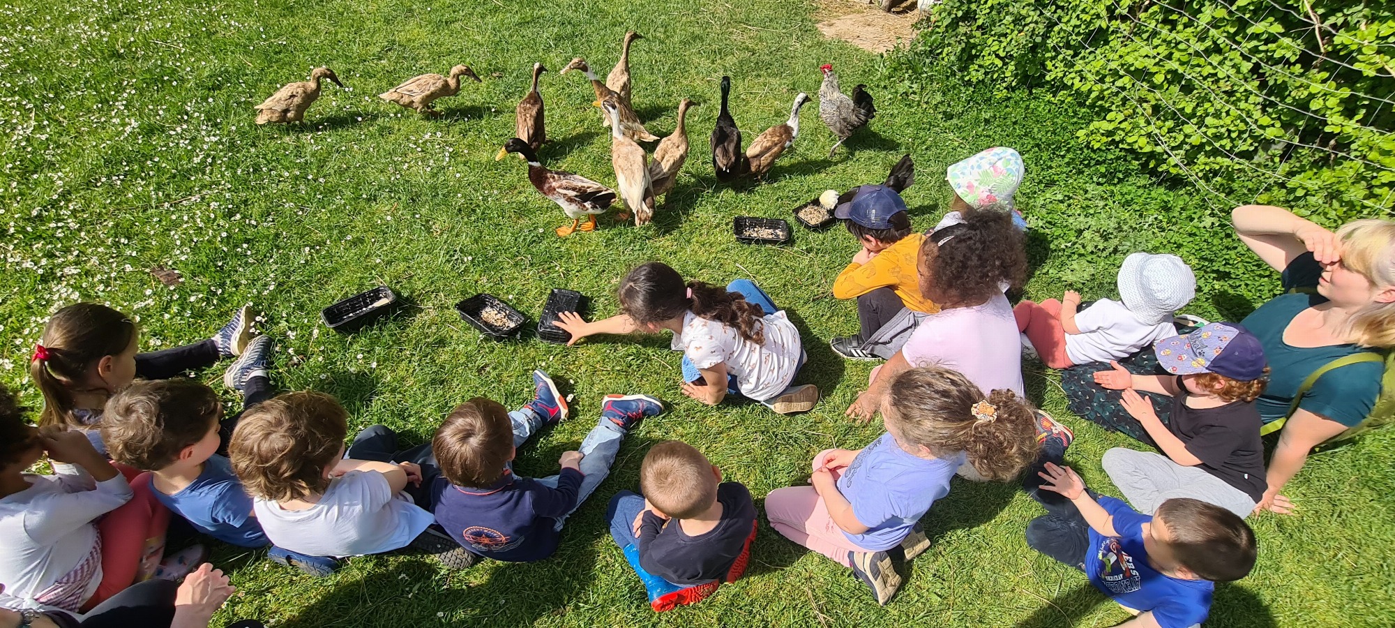 Des visites guidées de la ferme pédagogique du Domaine d'Echoisy