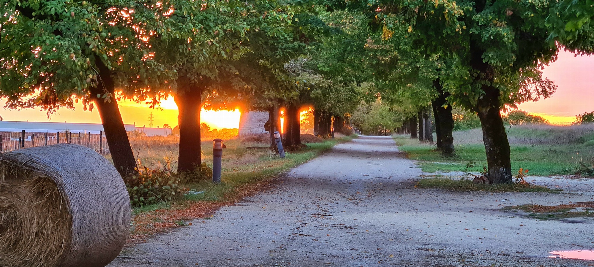 L'allée pricipale du domaine d'Echoisy