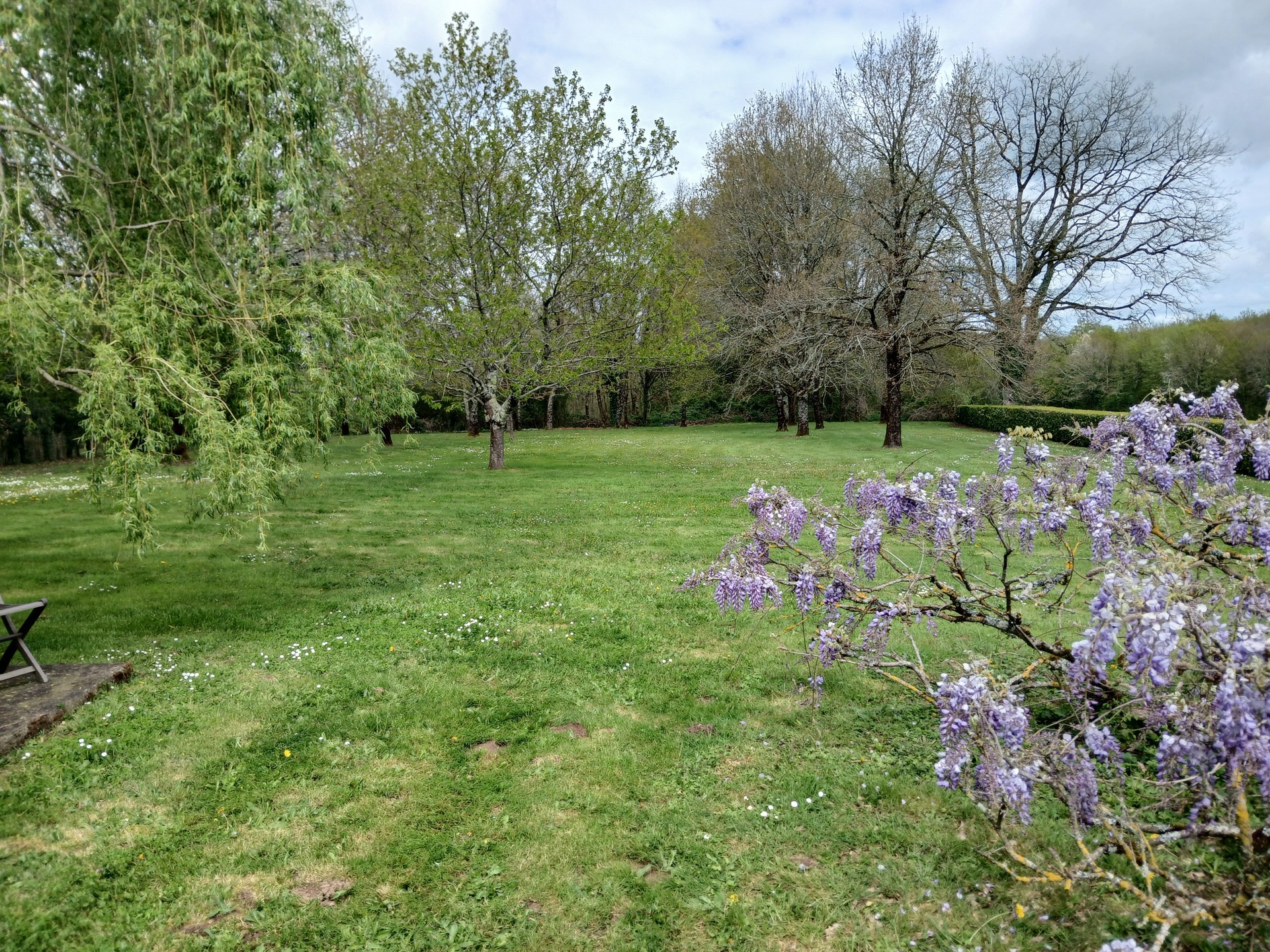 Jardin