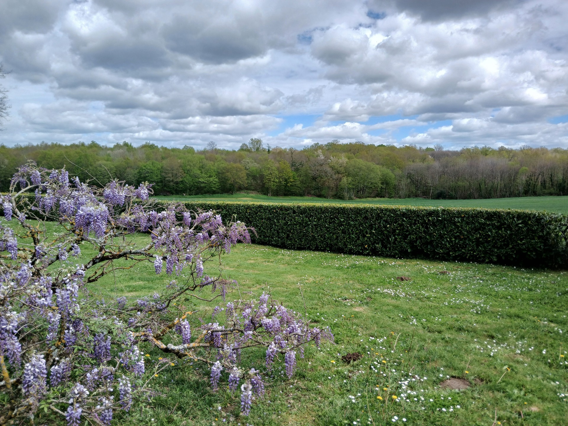 Jardin
