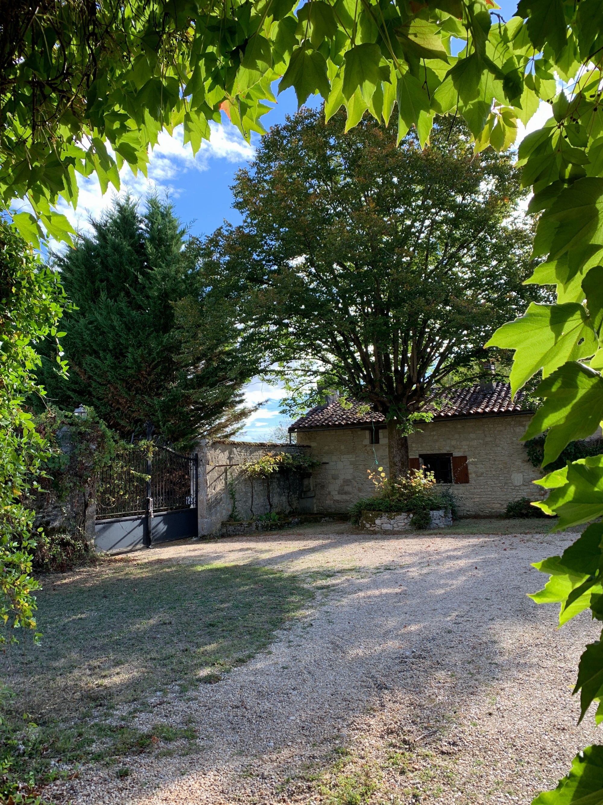 Villa Grenouillière