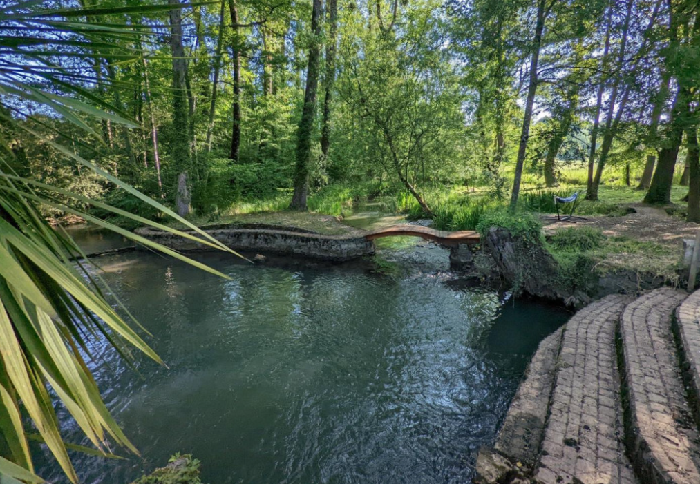 Piscine naturelle