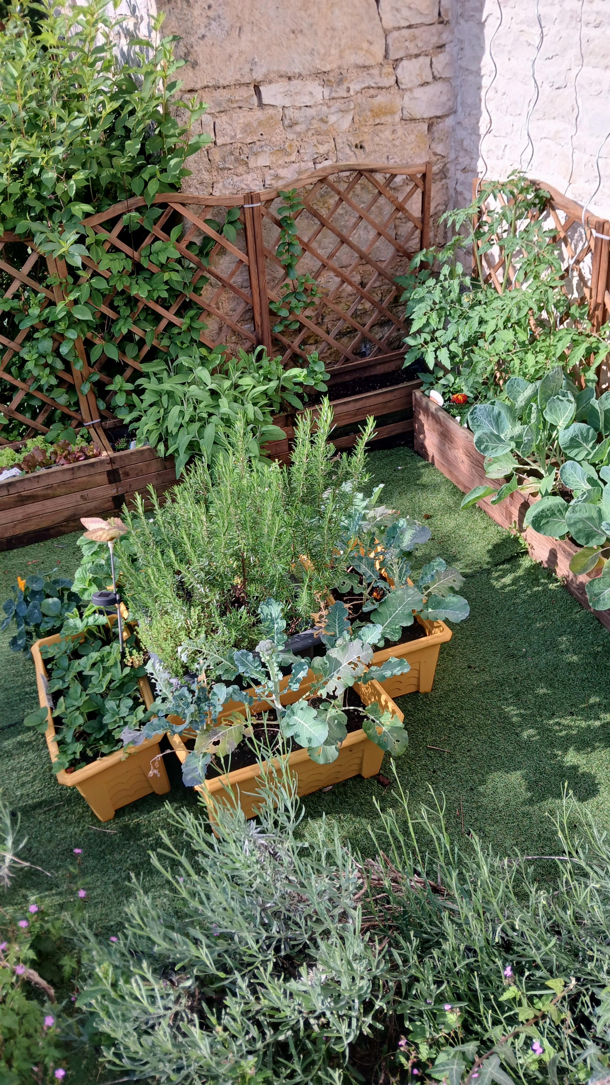 Jardin