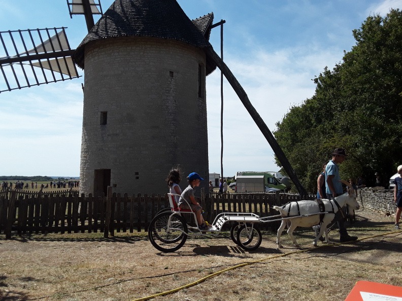 Fête du vent_Villefagnan