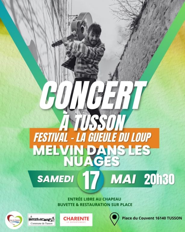 Festival 
