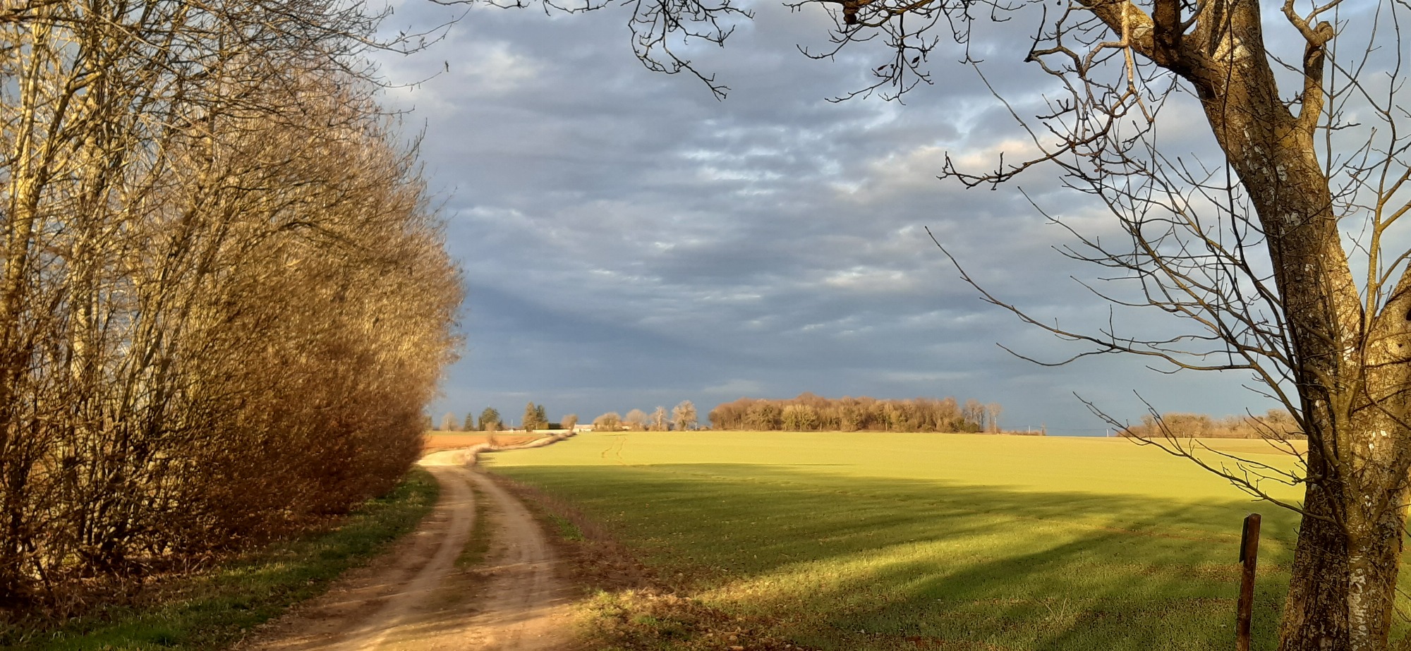 paysage de plaine