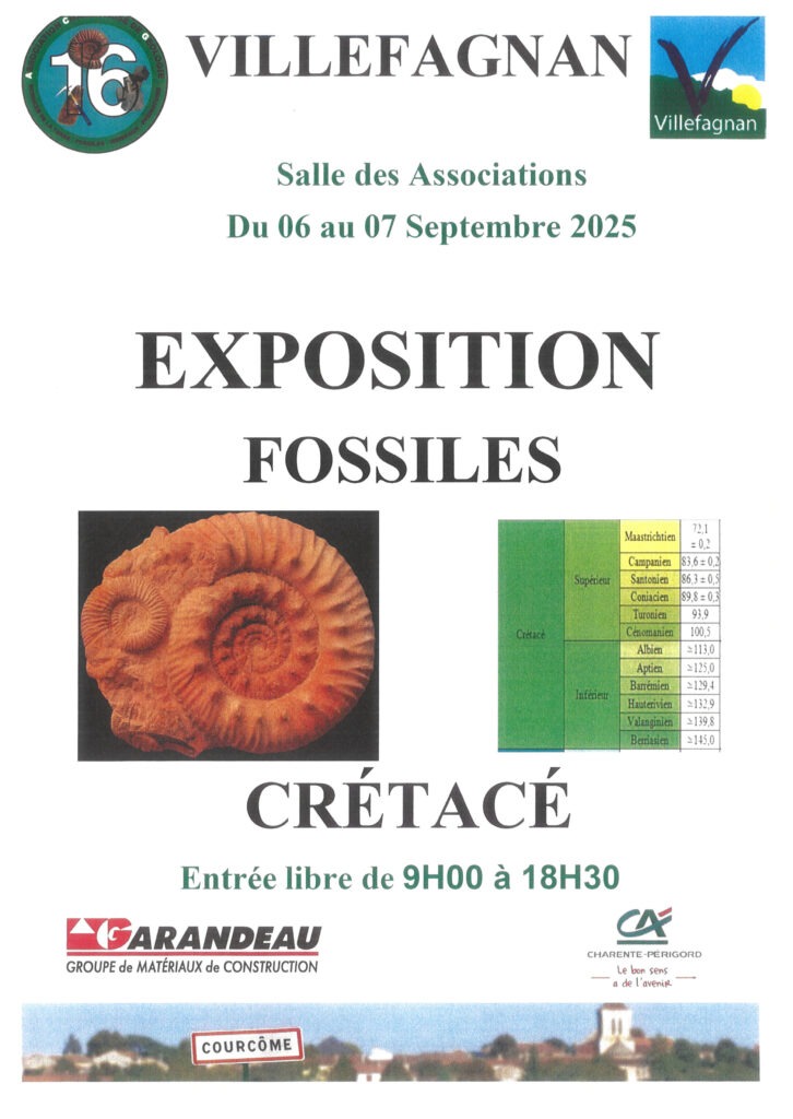 Exposition de fossiles_Villefagnan