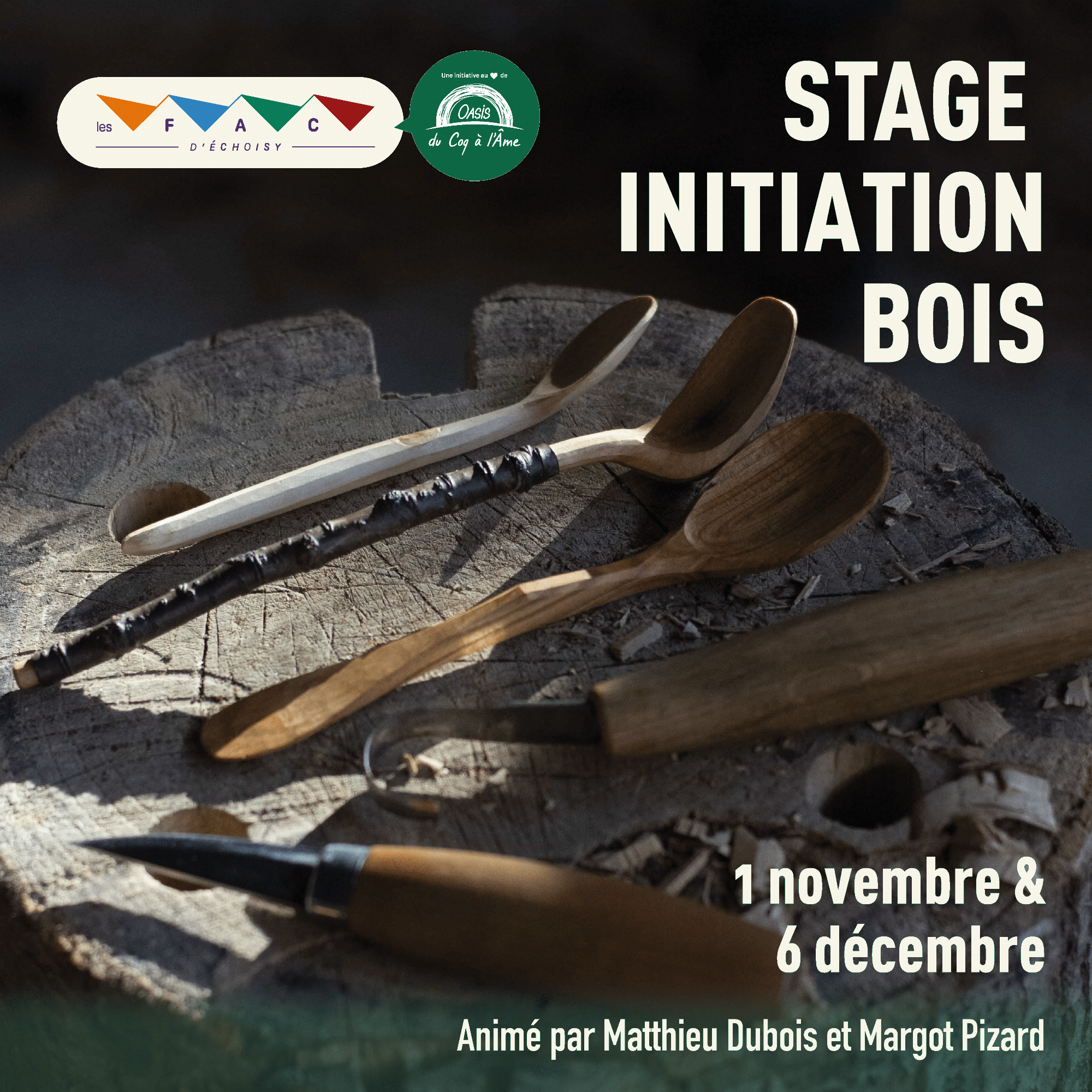 Stage cuillère en bois