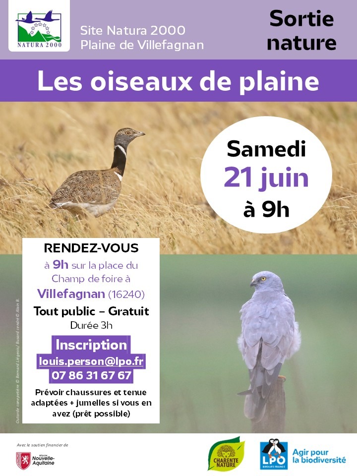 Sortie nature 