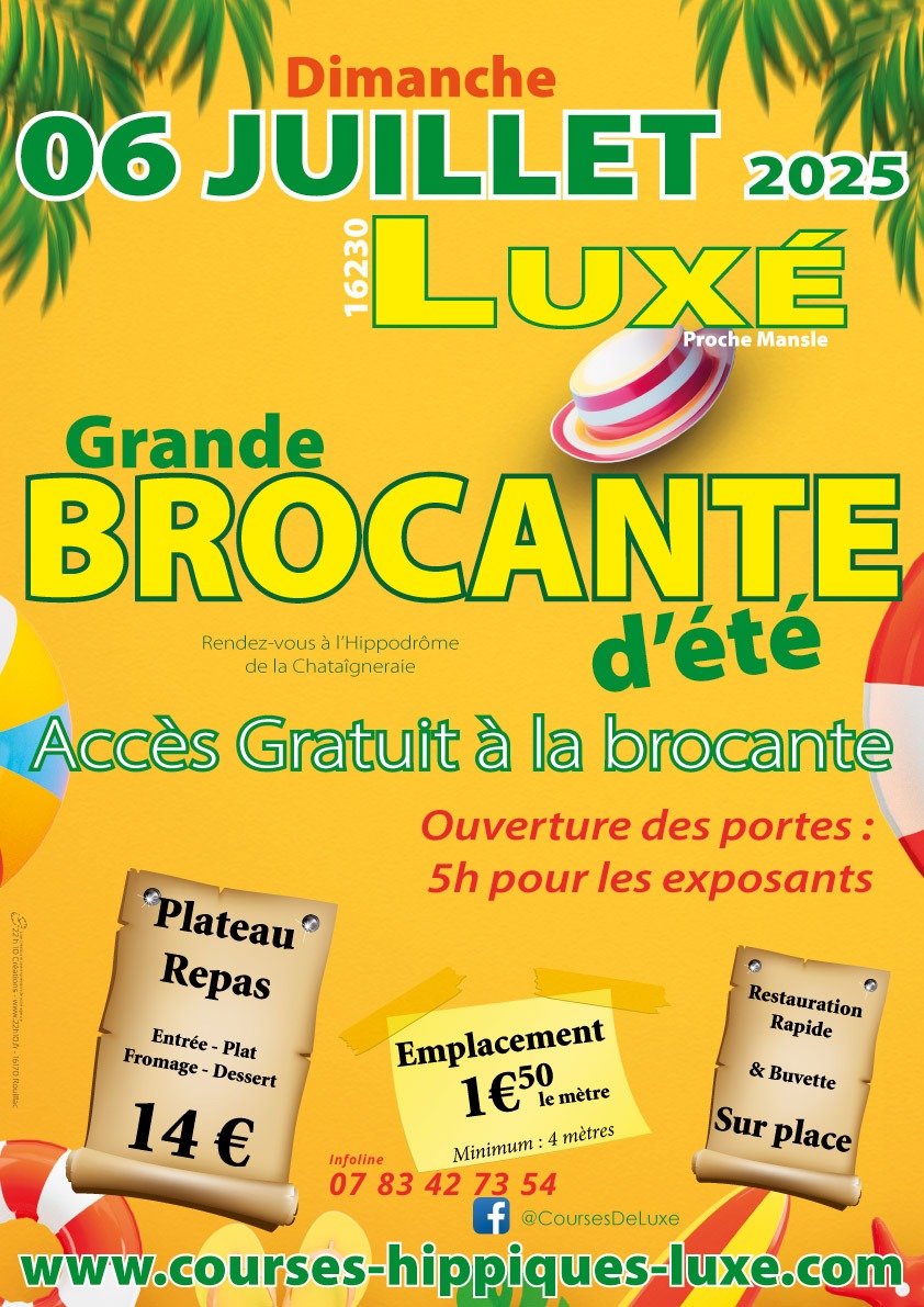 Grande brocante_Luxé
