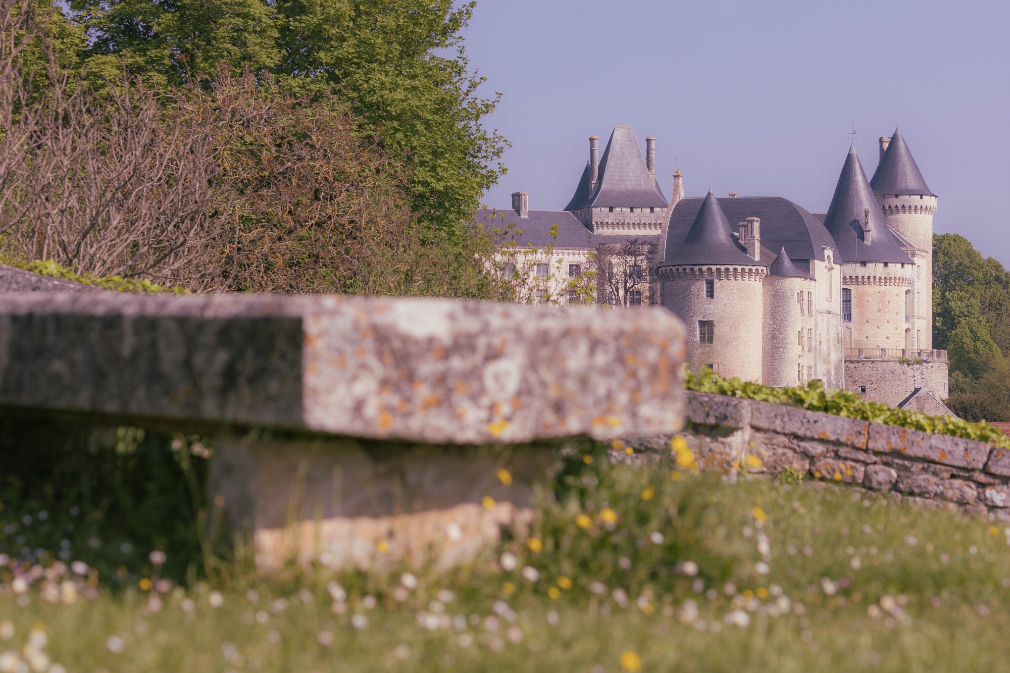 Photographe professionnelle_Verteuil-sur-Charente