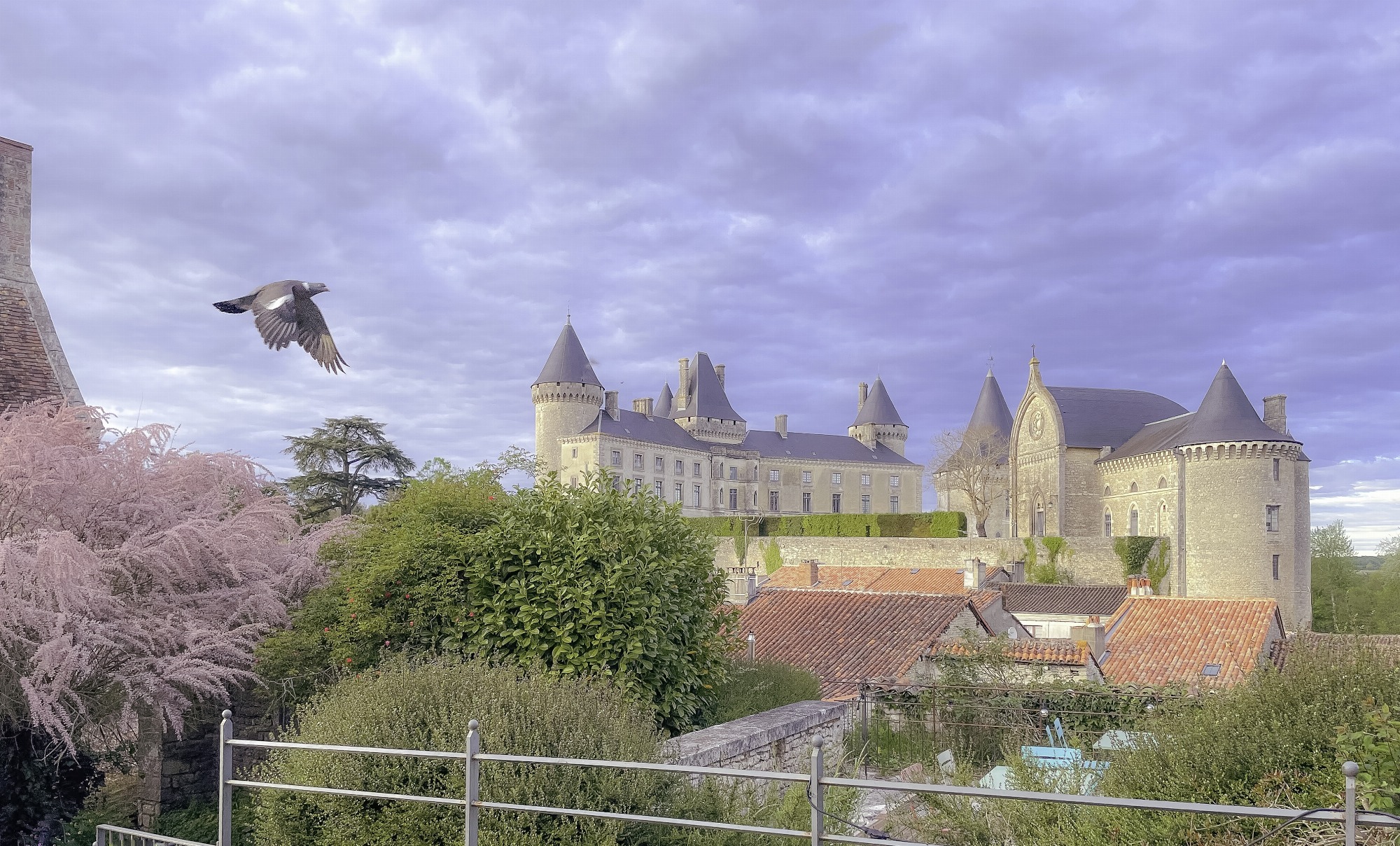 Photographe professionnelle_Verteuil-sur-Charente