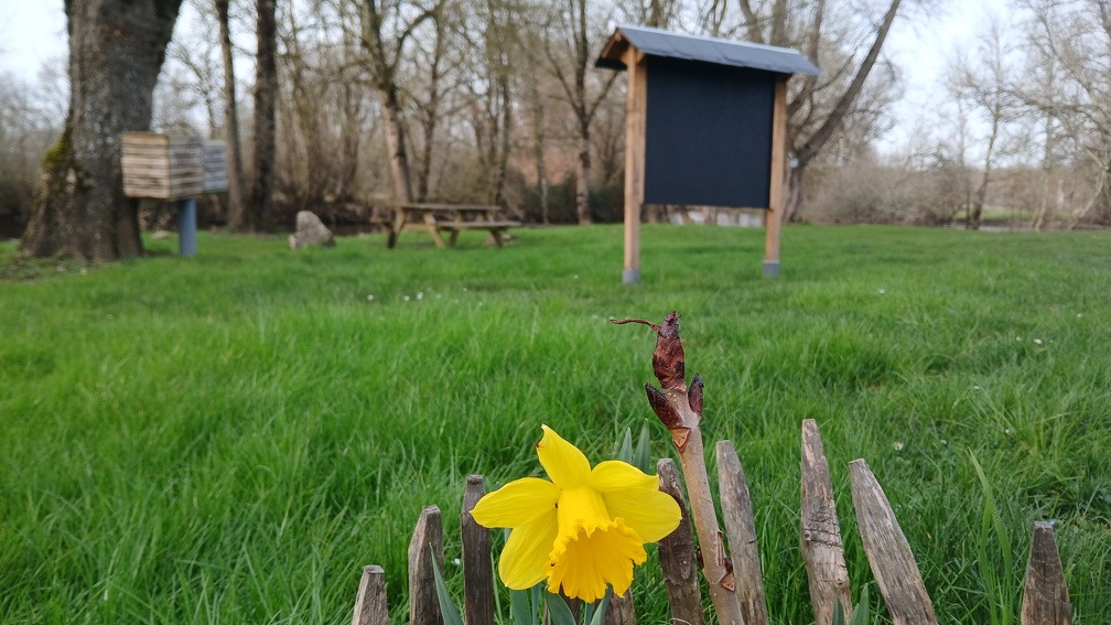 Coco des Bois_Saint-Ciers-sur-Bonnieure