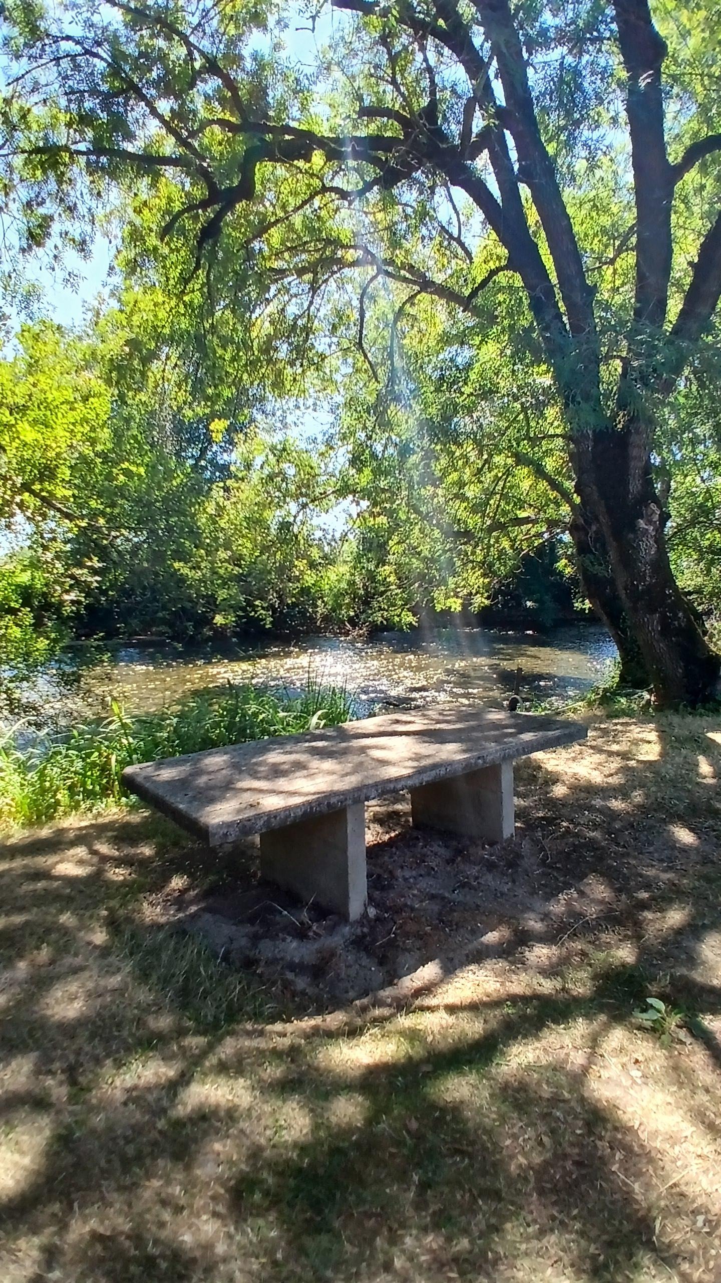 Table pique nique le long au bord de l'eau