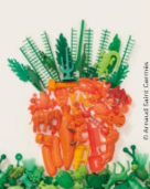 Exposition Cache-cache carotte_Ruffec