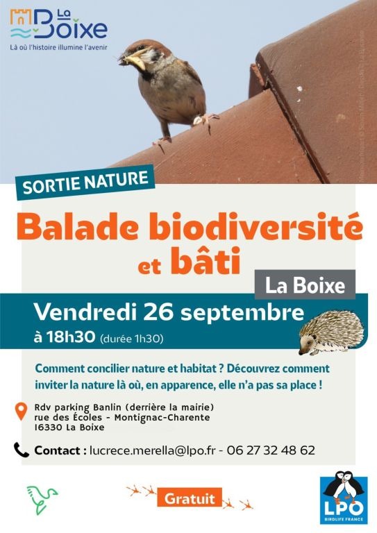Sorite Nature