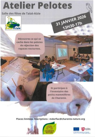 Atelier pelotes_Taizé-Aizie